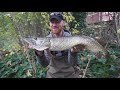 Dead Baiting River Pike!