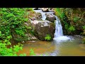 4K HDR Spectacular waterfall flowing in mountain forest.  Relaxing waterfall sounds.
