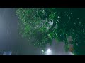 Night rain and nature sounds ASMR, a healing power that softens the sleeping mind, the sound of rain