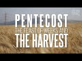 Pentecost special! - The Harvest of the Feast of Weeks - Pod for Israel