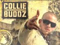 Collie Buddz - Let Me Know