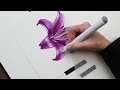Drawing a Beginner Friendly Lily using Colored Pencils