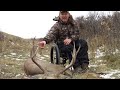 Wheelchair hunting Mule Deer