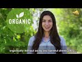 MIRACULOUS MAGIC POWDER IN GARDENING! | 100% Organic Pesticide - Diatomaceous Earth