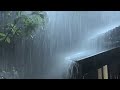 Fall Asleep in Under 5 Minutes with Heavy Rainstorm & Thunder at Night - Rain Sounds for Sleeping