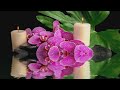 3 HOURS Relaxing Music for Meditation and Relaxation Background for Yoga, Massage, Spa