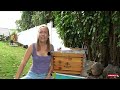 BEEKEEPING THEORY: HOW TO CARE FOR HONEY BEES | In-depth Guide to What the Beekeeper Does