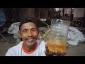 Mulung minyak goreng dari rosok botol bekas #rongsok # mulung #hargaminyakgorengbekas