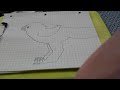Quick sketch of a raptor