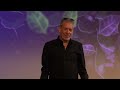 Matter and Antimatter | Prof. Jeffrey S. Hangst | TEDxDanubia