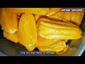 কাঁঠালের কোষ কিভাবে বের করতে হয়। Jackfruit Cutting. #fruitcutting