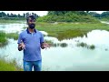 Saving Bangalore, one lake at a time | Anand Malligavad | TEDxIIITBangalore