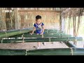 17 year old single mother makes bamboo beds and meets her uncle.