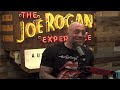 Joe Rogan Experience #2029 - Bill Maher