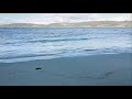Sea Ocean Sounds Relaxing Music Calm Meditation Nature Peaceful Water Wave Sound for Sleeping 😴😴😴