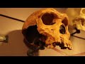 How Doggerland Sank Beneath The Waves (500,000-4000 BC) // Prehistoric Europe Documentary