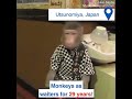 Waitress Monkey in Japan Restraunt - Latest Trending Viral Video