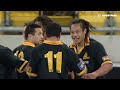 The most surprisingly star studded rugby team ever - Wellington Lions | Rugby Highlights