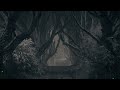 🖤  Dark & Moody Rain Forest Sounds to Satisfy Your Moody Soul 🖤