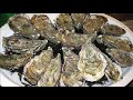 Facts: The Oyster