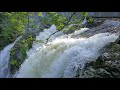 Chapman Creek Water Falls Pan