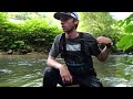 Catching MONSTER Brown Trout out of Small Creeks!! (Fly Fishing)