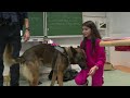 Intervention maître-chien en milieu scolaire