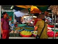 PangSey Market in the morning | Khmer Market Tour