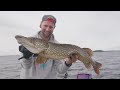 Zander gezielt im Freiwasser werfen!