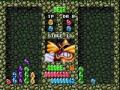 844892 Points - Dr. Robotnik's Mean Bean Machine (Genesis)