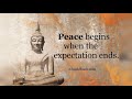 Great Buddha Quotes On Life | Buddha Quotes In English | Wonder Zone