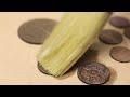 Old Coins of the 18th-19th Century Restoration - Cleaning and Preservation