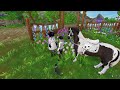 Horse Equestrian Festival Is Here ( Star Stable )