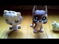 Lps Collection ~ 2015 REMAKE