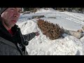 The Backyard Pond is Frozen // Under the Ice Video & Ice Fishing