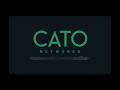 Cato Managed SASE Multitenancy Overview