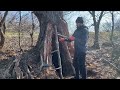 Building a secret shelter deep inside big tree