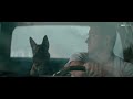 DOG Trailer (2022)