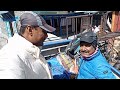 COLDEST ANNAPURNA CIRCUIT PART 1 | WINTER PISANG | SNOW COVERED THORONG LA