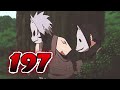 Team 7: 5 Facts You Need To Know