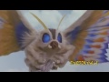 Rebirthing Mothra (tribute music video)