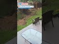 Destructive Winds Rip Up Backyard In Colorado