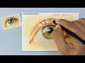 How to Draw Realistic Eye Step by Step / Easy Eye drawing with Soft Pastel and color pencil