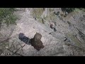 Red Dead Redemption 2 - Look down there!