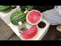 Unique method of growing watermelon at home - The yield surprised me