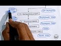 Glycolysis Pathway | Energetics And Significance Of Glycolysis | Carbohydrates Metabolism | Biochem