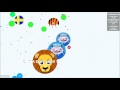 Agar.io - Wun Wun vs Sirius in FFA