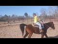 Supergirl shows how to expertly trot a horse