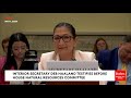'Just A Simple Yes Or No': Mike Collins Grills Deb Haaland About DEI At Department Of Interior