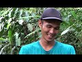 Petualang NgeCamp Di Hutan Rimba Bukan Sembarang Camping Overnight Petualangan Bushcraft Part 26